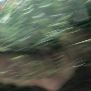 Meet your Posher, Sunshine